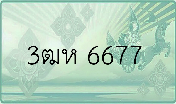 3ฒห 6677